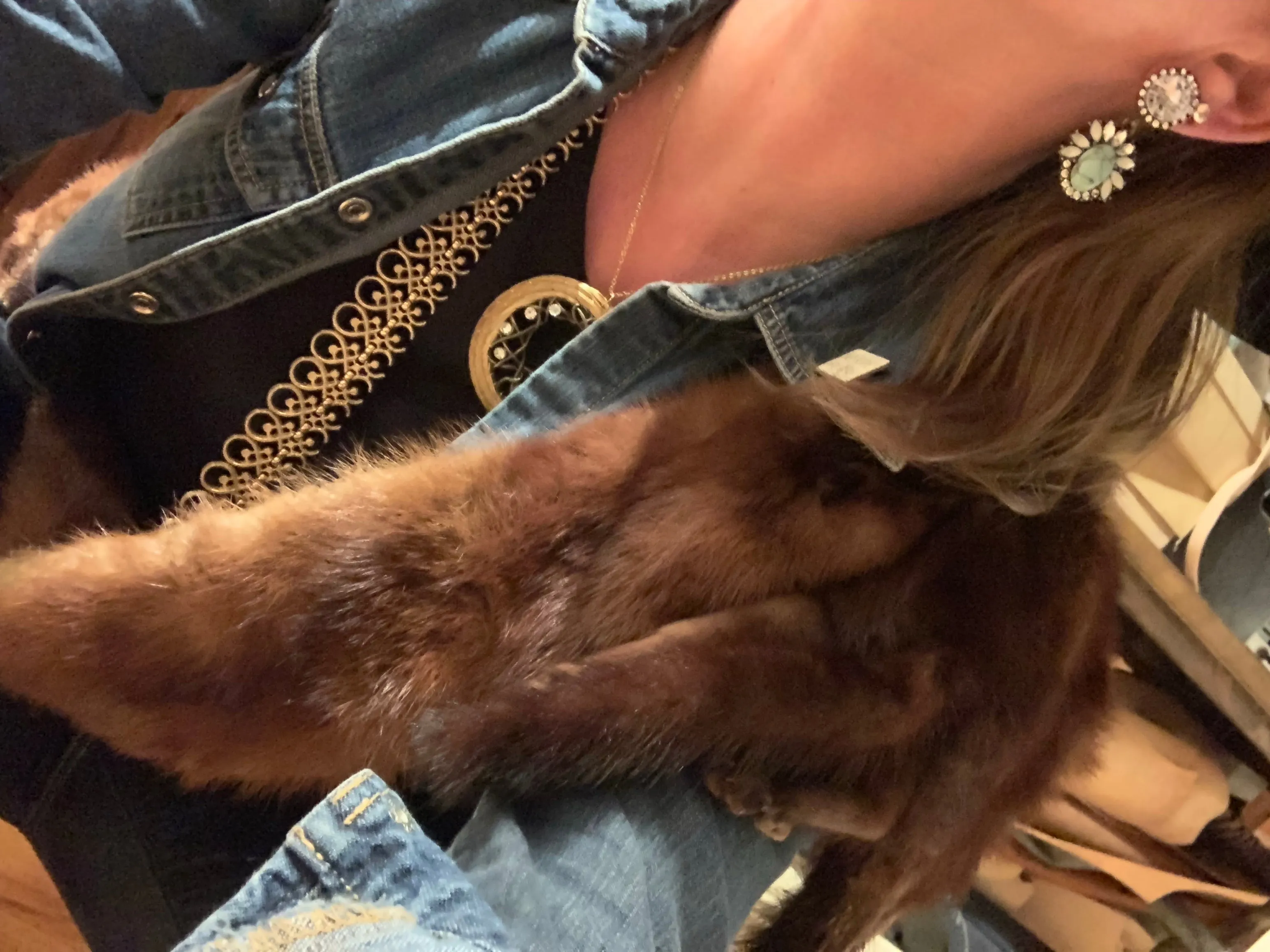 Cain-Sloan Vintage Fox Wrap